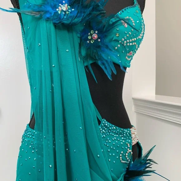 NWOT amazing Latin Ballroom Competition dress - Picture 11 of 11